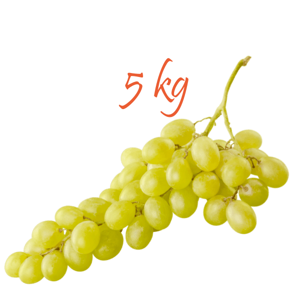 5-kg-2.png
