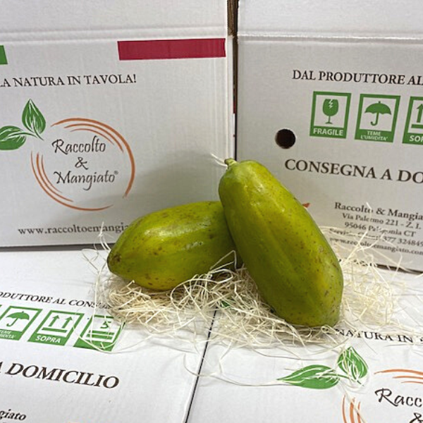 PAPAYA_1-5KG.png Papaya Siciliana | Confezione da circa 1,5 kg - immagine 1