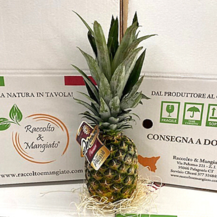 Ananas