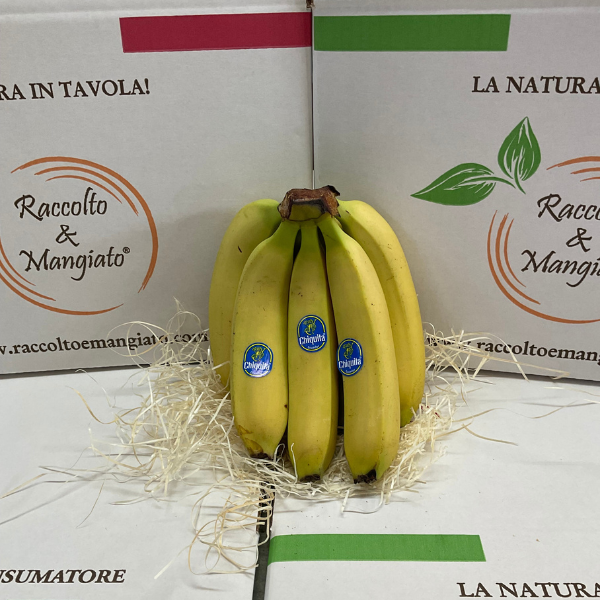 banane_1kg.png