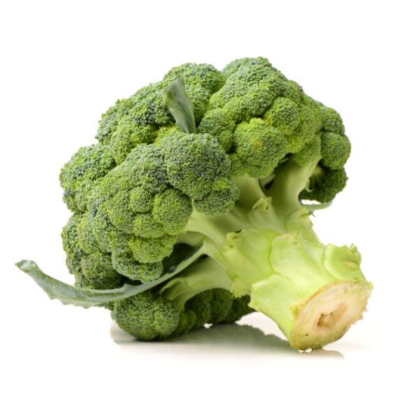 broccoletti_3_600x600.png