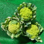 Confezione 3 Cavolfiori verdi