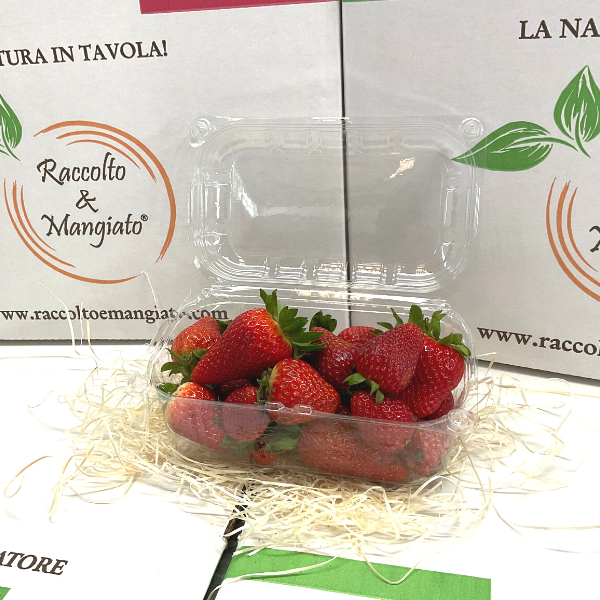 fragole_vaschetta.png