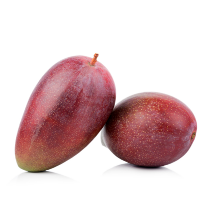 Mango Osteen siciliano | da 8 kg