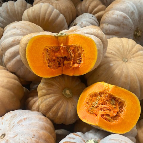 zucca_miele.png