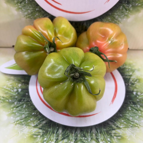 Pomodoro cuore di bue Pomodoro cuore di bue