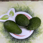 Avocado hass