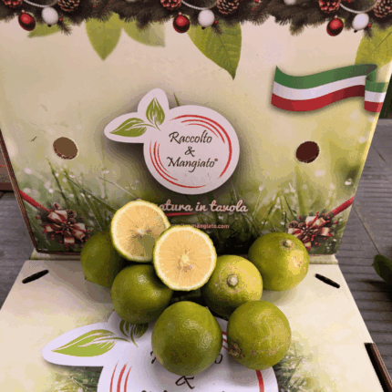 Bergamotto