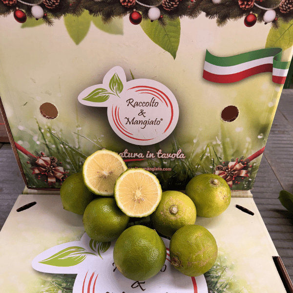 Bergamotto Bergamotto