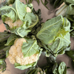 Cavolfiore Bianco