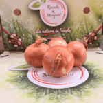 Cipolle Dorate da 2 kg