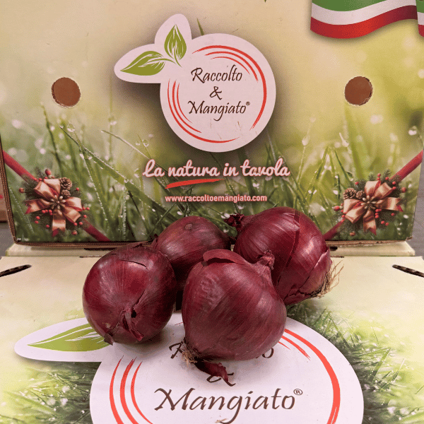 cipolle rosse