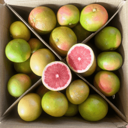 Pompelmi Rosa