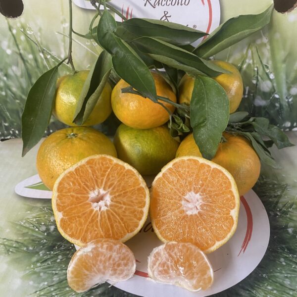 image00001