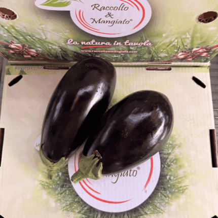 Melanzana Nera
