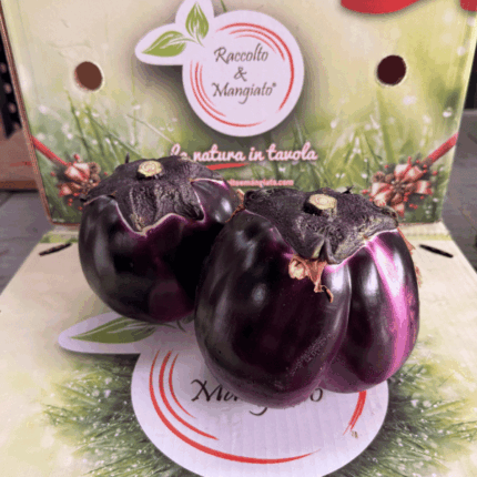 Melanzana Violetta