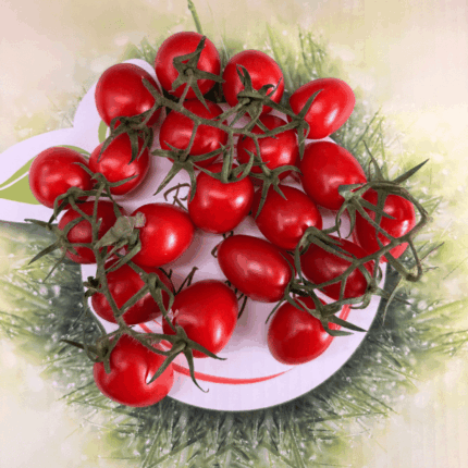 Pomodoro Piccadilly