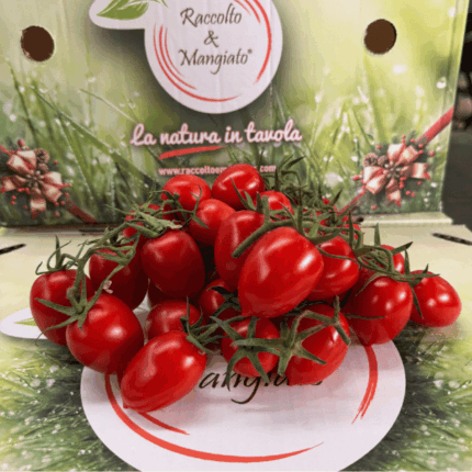 Pomodoro Piccadilly
