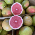 Pompelmi rosa