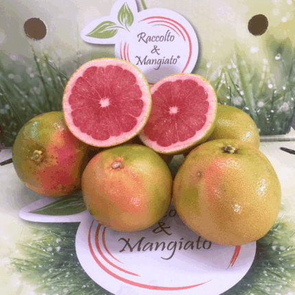 Pompelmo rosa