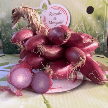 Treccia di cipolla rossa