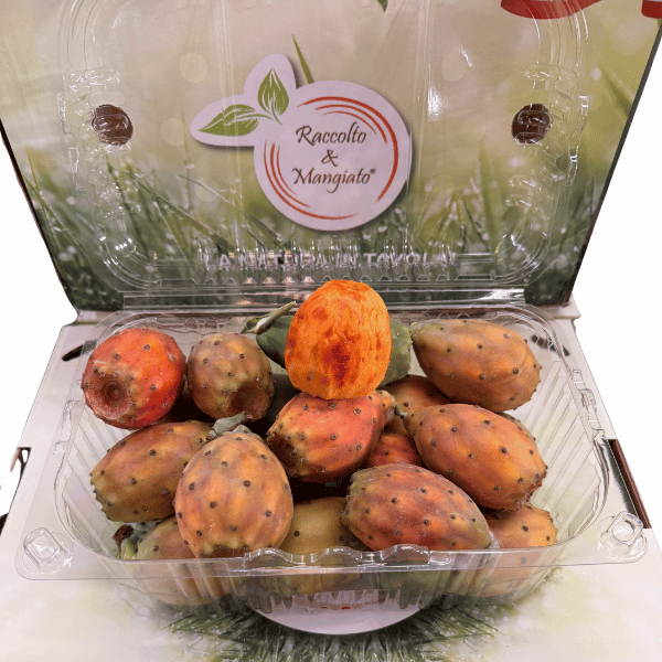 FICHI D'INDIA DA 2 KG CAL PICCOLO
