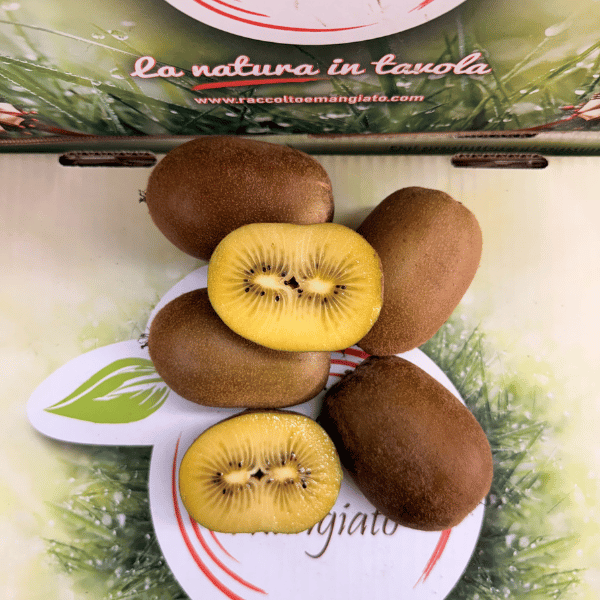 kiwi gold prodotto