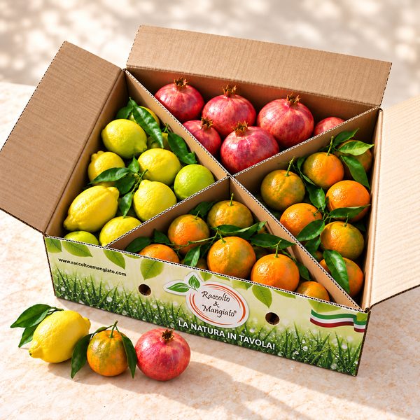 mix-agrumi-9kg-600x600 Mix Agrumi da 9 kg | Spedizione gratuita - immagine 1