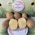 Patate Novelle Calabresi da 4kg